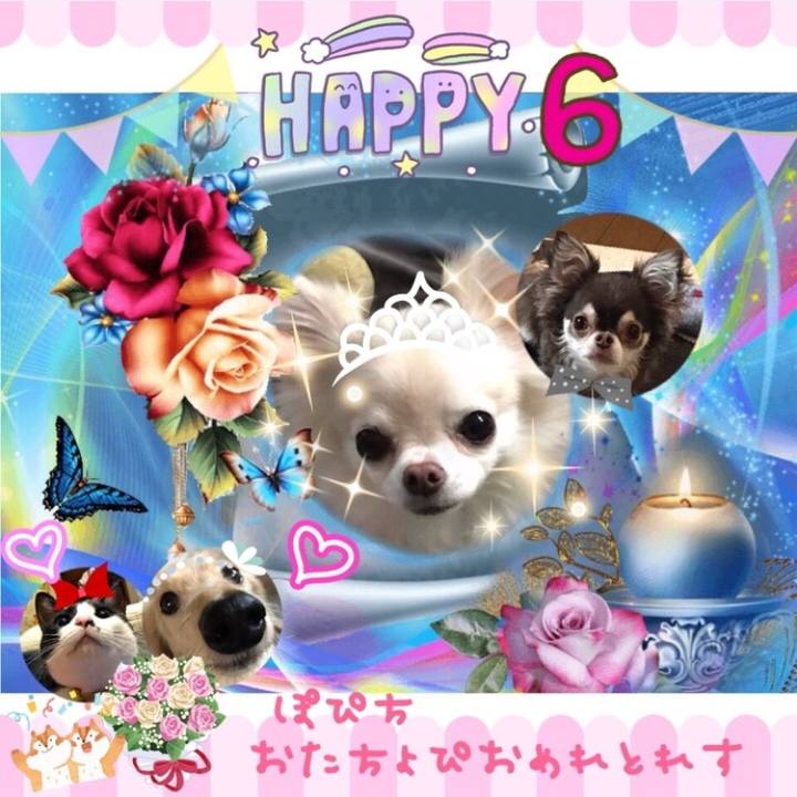 Bfdbbf76 e077 40b2 943f 10cf8df3bf07