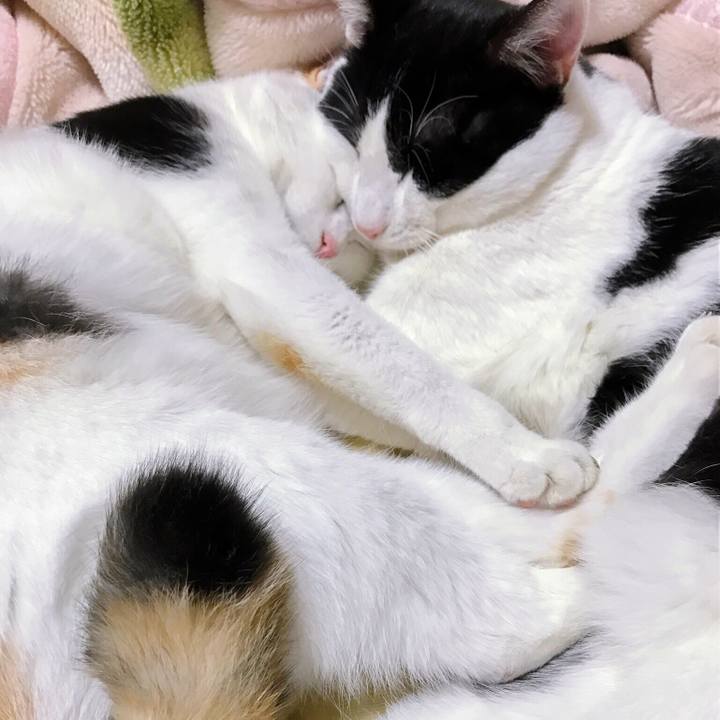 Bfdc6bf1 27ea 4416 b9af 3f3b17c6c86a