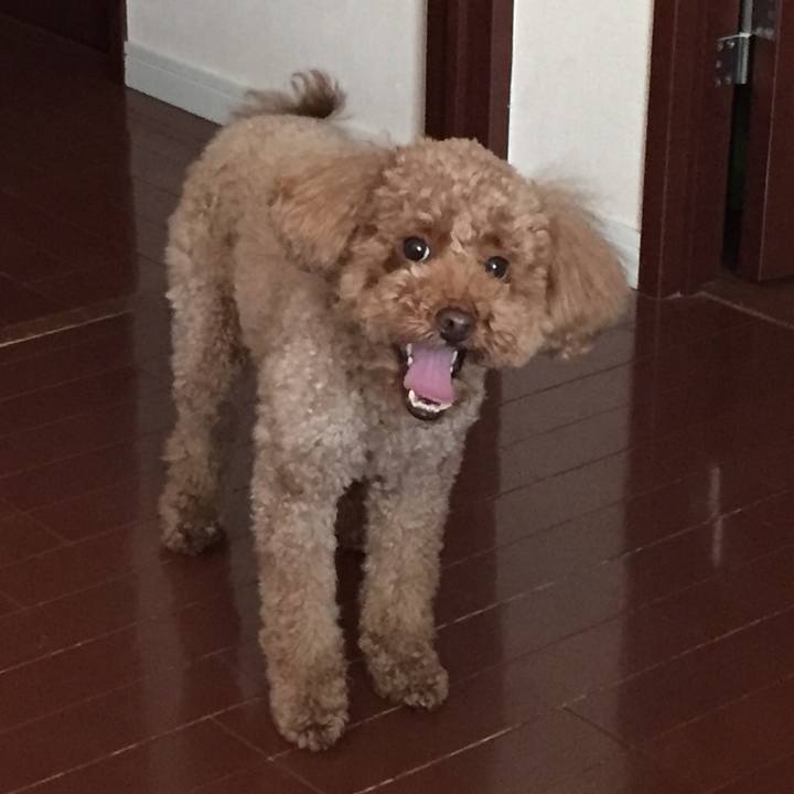 Bfdc874c 2fff 4b45 9921 8bf694e451a6