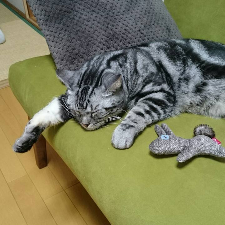 Bfdddc7c 8baa 46bc 8429 9bd2af4bad3d