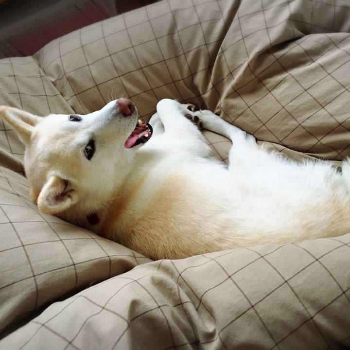 Bfde5d2d 3e7a 46bc 91a0 966722b145fd