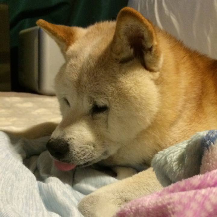 Bfde676d fa43 4360 8f90 414cde887905