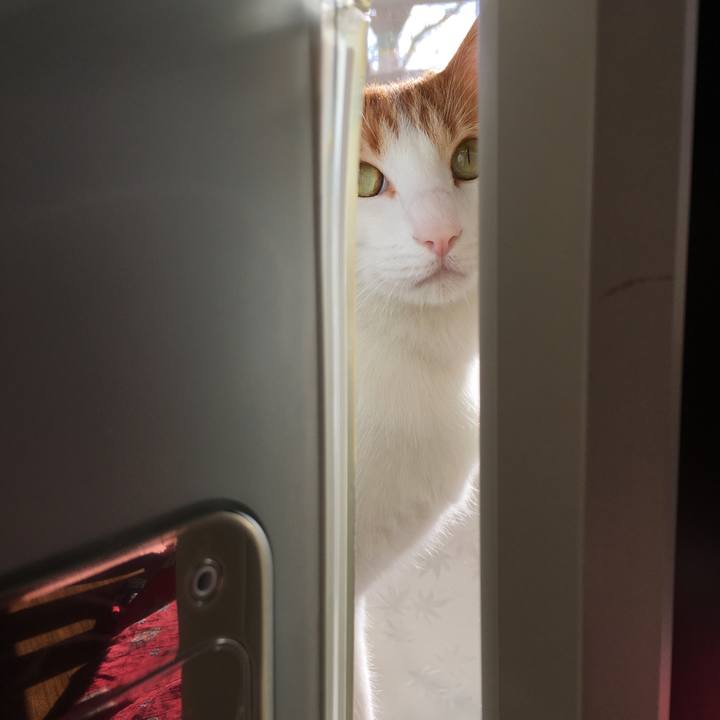 Bfdecd0d 319f 4669 a037 c1b04f1e456c