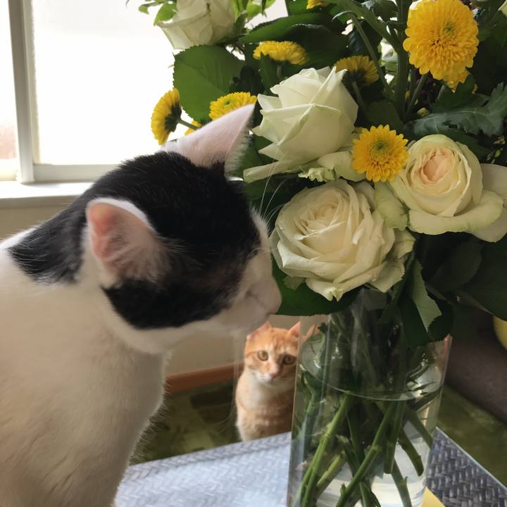 Bfdf2b09 7fc6 4388 8e2d 688f8ffb15aa