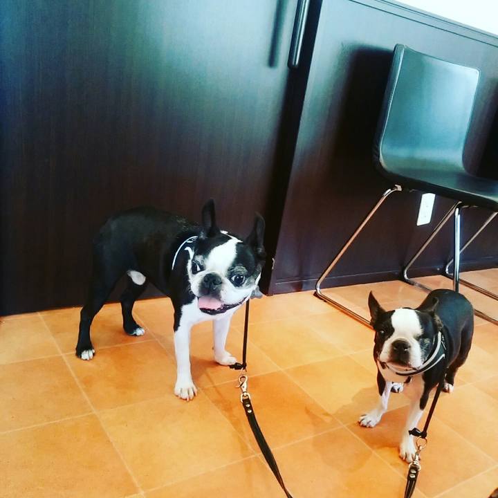 Bfdf3a61 fa8b 4a4c affb 0f592e9f651c