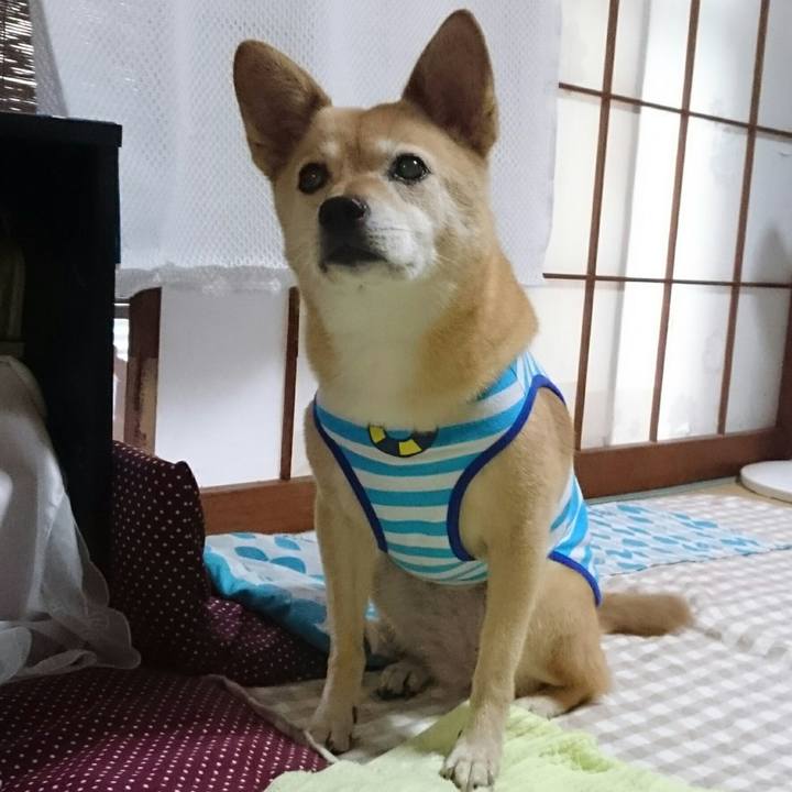 Bfdf8dcc d201 4872 8b28 05cfb67b5302