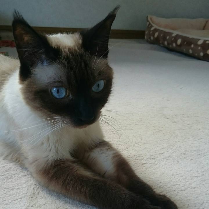 Bfdffbc7 6b27 4dde 8f0b f4cc825326d7