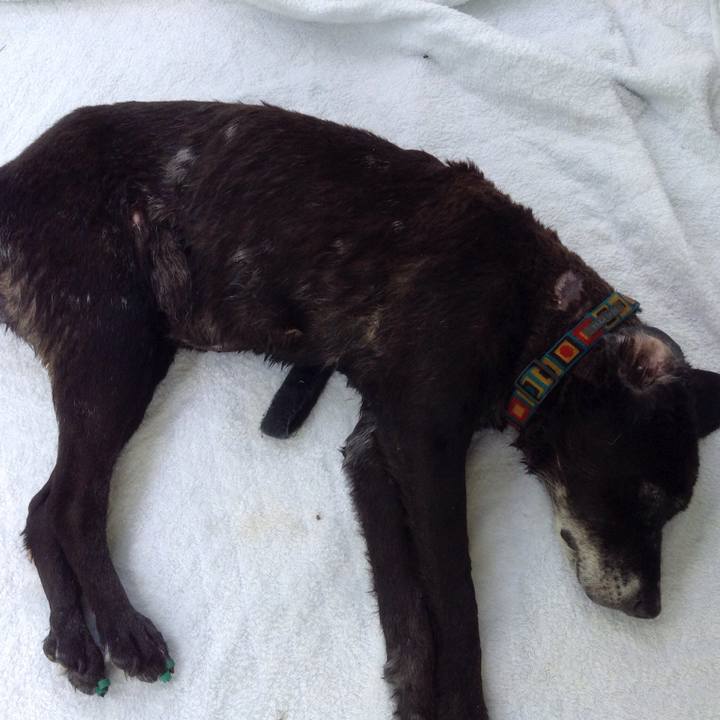 Bfe0169a 67c8 479c b874 ad22a08bfa0d