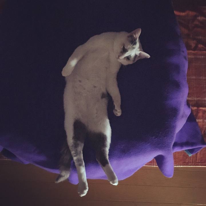 Bfe1b55a fc9b 4cb7 b794 10f91dcff336