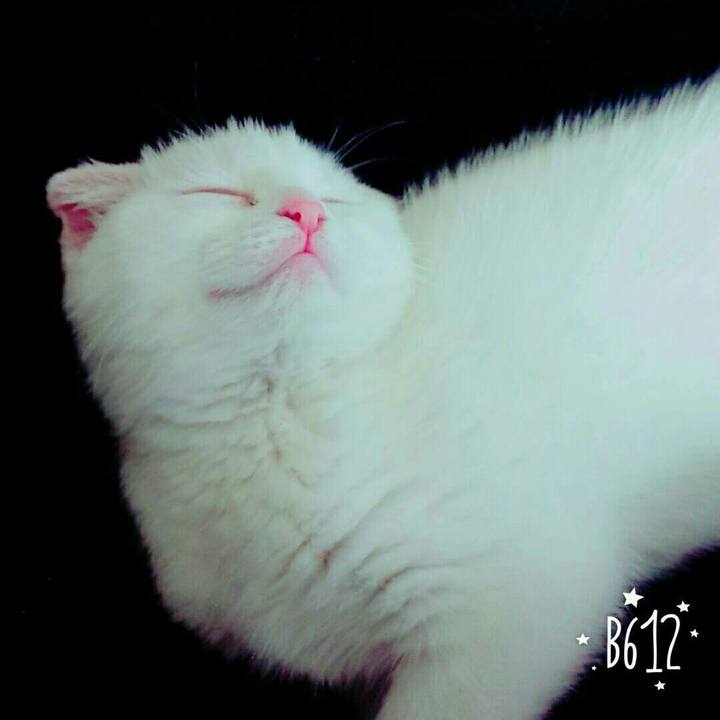 Bfe1b8ef 2f96 418d ab6c 1b87ed4166a6