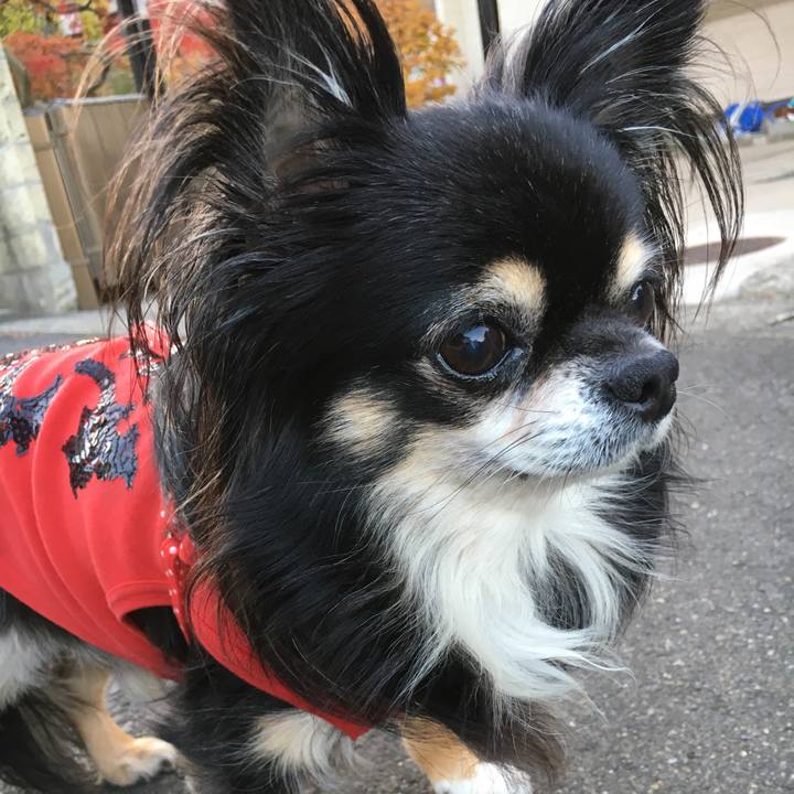 Bfe28781 0cbe 440e ab67 caf755a7736e