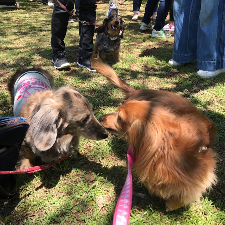 Bfe2b9c1 c651 4918 a0ad 773fa734f6d4