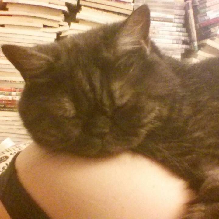 Bfe311e1 586f 474d a998 c99ca4c6efc2