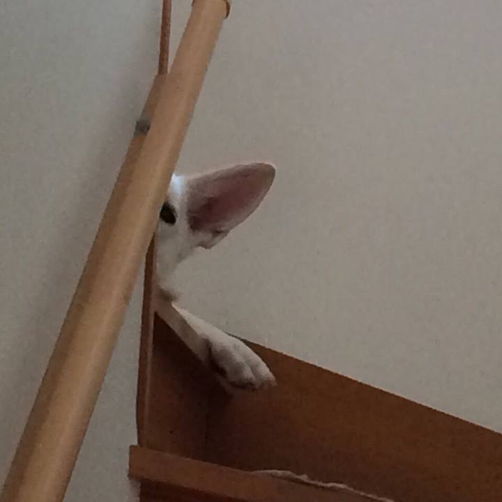 Bfe384c9 4c8d 4834 85ac 3668a1ee3c1b