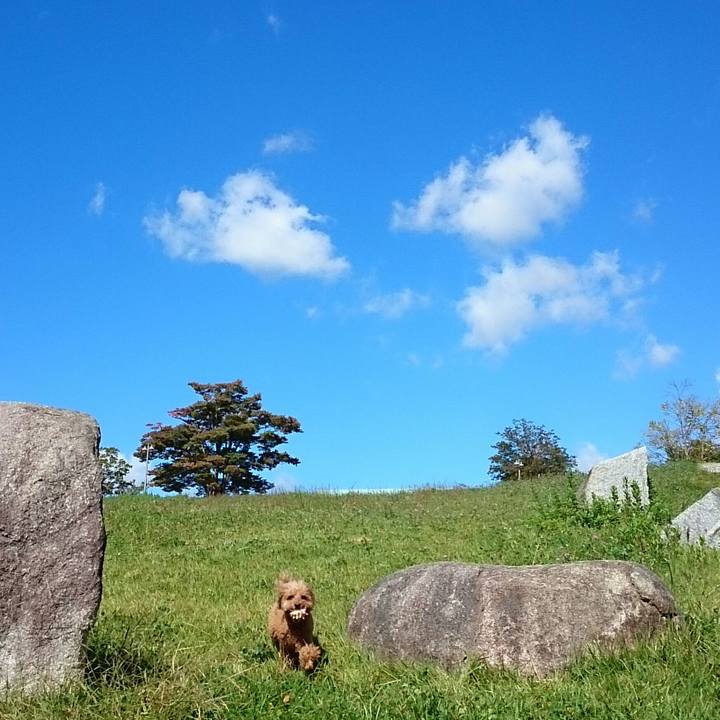 Bfe38f78 0525 45f0 a74c 50410331e3d1