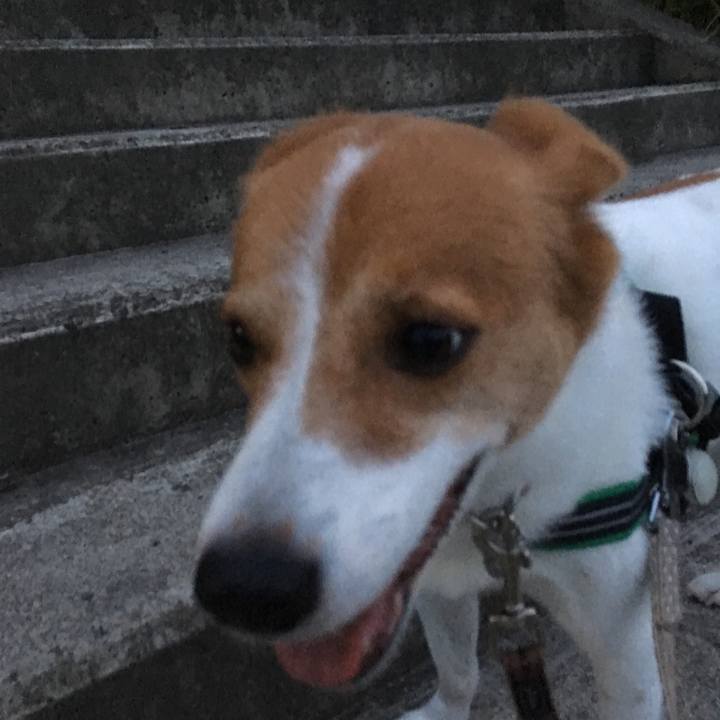 Bfe3af0e 821f 4315 b0fb a6ab97ade1da