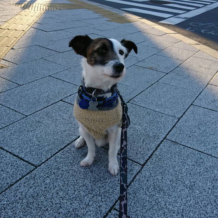 Bfe3b074 1301 4859 b25f ba10c38be2b6