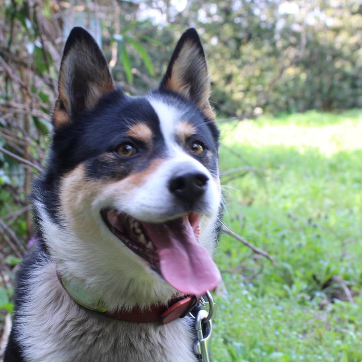 Bfe40412 5d39 48c4 adbe 94b4d060e775