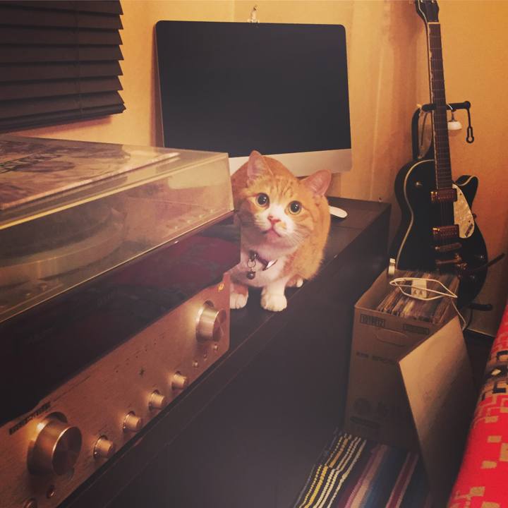 Bfe46f75 1593 4714 aa02 63016f1d0436