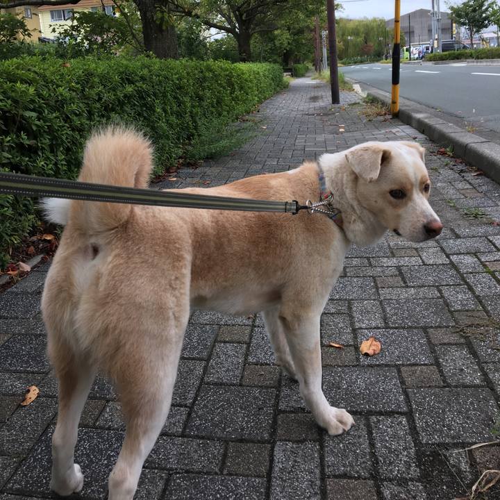 Bfe54313 ceae 4c0b 9019 055c576a1ea0