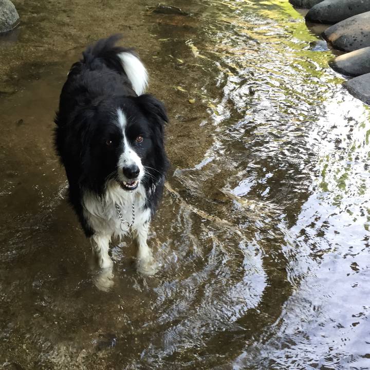 Bfe54a37 a259 40c6 b351 5ae8d4b0d449