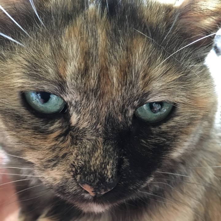 Bfe54f08 54fb 4910 840c 68a33e5b6e9a