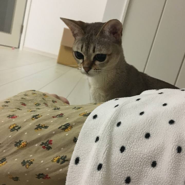 Bfe57549 55aa 4c1e a152 953fa6a3e7c0