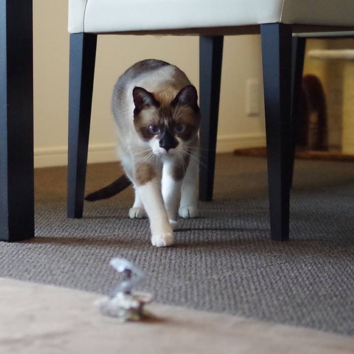 Bfe5cf8b 3779 4aca 8bd6 62b83a0982f5