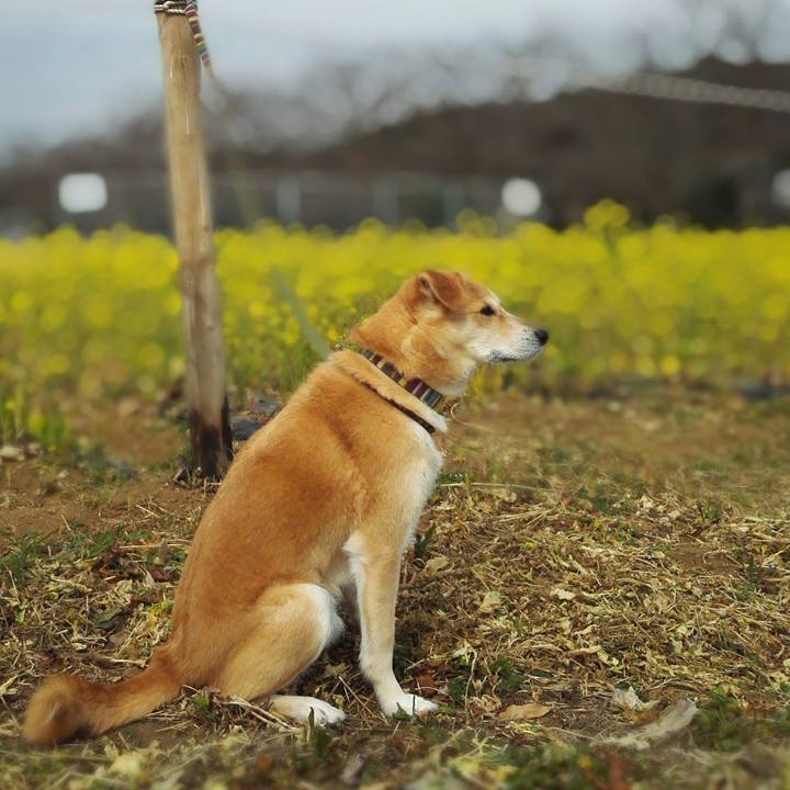 Bfe5f1e9 c405 4f4d bf02 1908193ea7e5