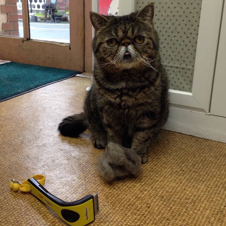 Bfe63c5e 65ce 467c 8d8e bbb6bc6175a5