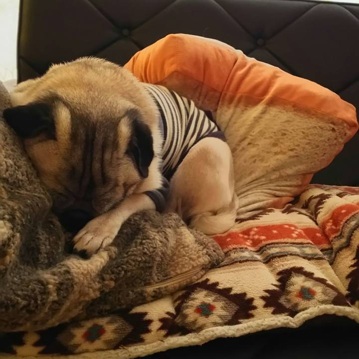 Bfe64f76 28ed 41a1 9ed3 3a4d032f20f4