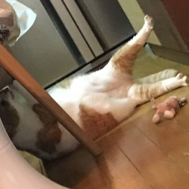 Bfe6ecd8 6fc1 4ce5 ab9f ae26b5d2c79d