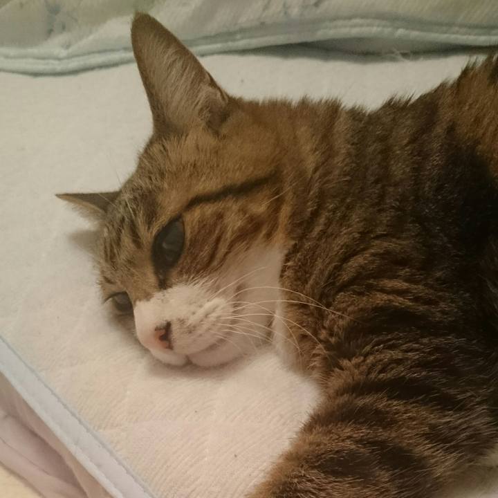 Bfe76d74 8e56 422e b701 5b41ea3e3b1f