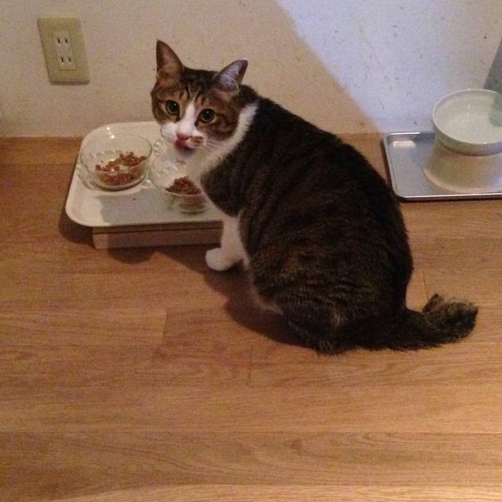 Bfe7efee e08e 467b 8c1a 02829305f2f6