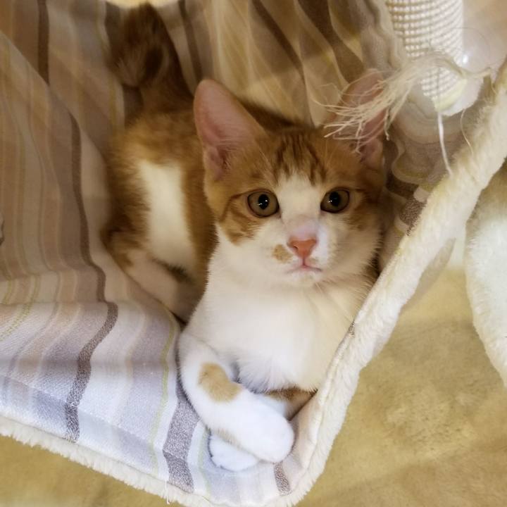 Bfe83759 ab3a 4ecc bb77 96b9d5e1c9eb