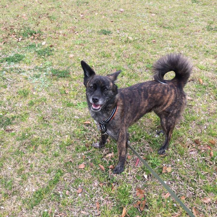 Bfe83eb3 4cbd 42f9 81a5 3895782830d7