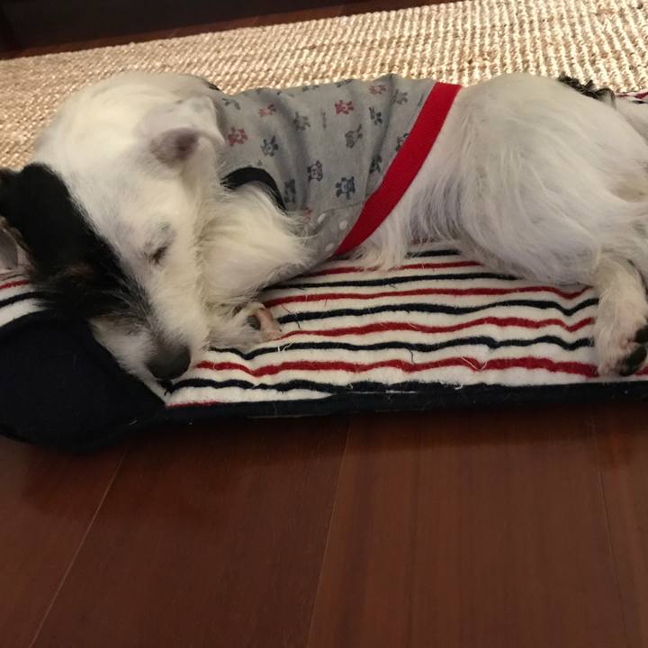 Bfe8b006 dd30 400e bdc3 9cdd713fec79