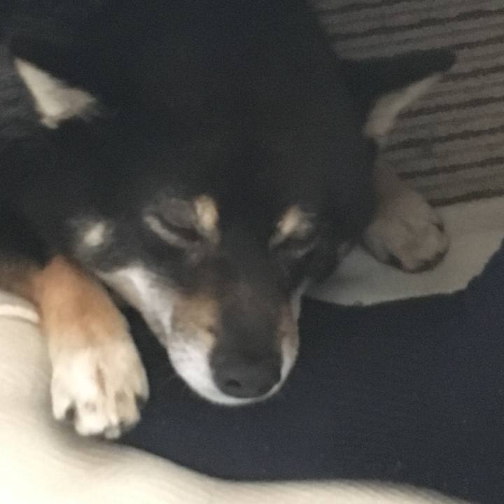 Bfe9db4e 81a4 45d2 b2a4 775ee5b16ca3