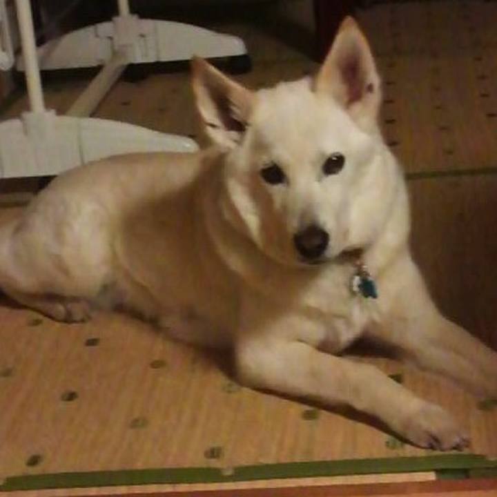 Bfea5731 ad10 424f 9bbf 944997a8b83d