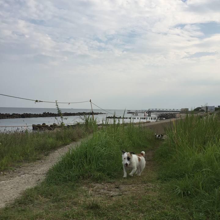 Bfea57b6 b6e7 4d2c be18 80c0a68be79f