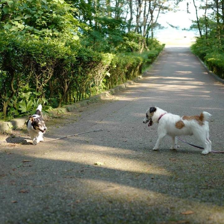 Bfea9bbc f3b7 436e 8dd5 c024d9af261a