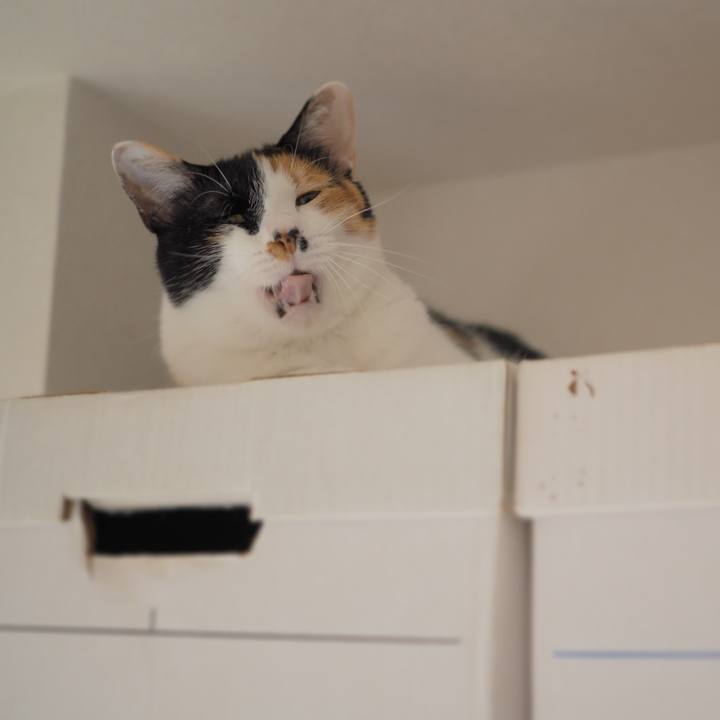 Bfead7b1 2762 4afe b750 5fa1e8e4b8ee