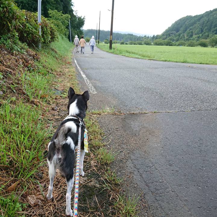 Bfebe612 b22a 466d 91bd ea730a312643