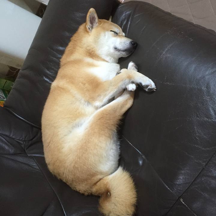 Bfec4dc8 2f14 4ead 8dc0 0069ad5c4550