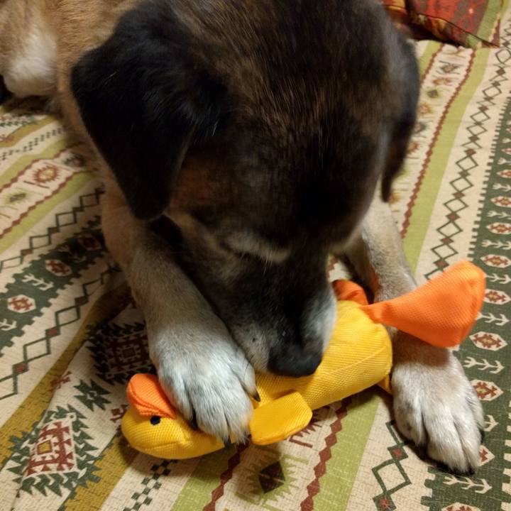 Bfec7df2 ed59 4d64 b673 519921cdc5df