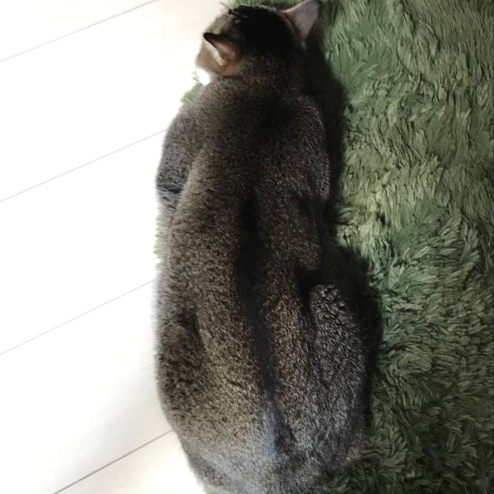 Bfec88bd 4811 47f8 a591 e81666486df1