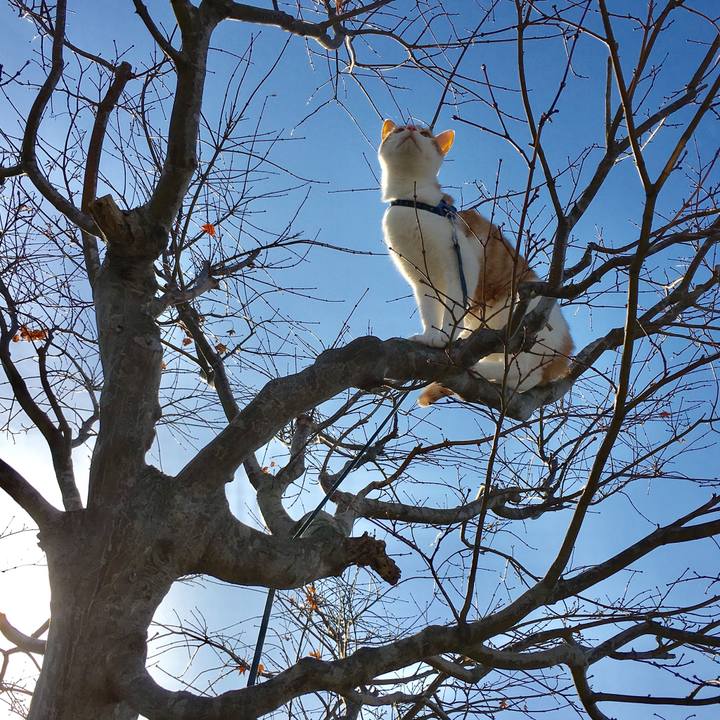 Bfecc4a2 6595 404a aec3 28c63c082971