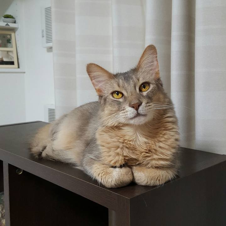 Bfed0835 9f6f 473a 9817 5c4f3854e7cd