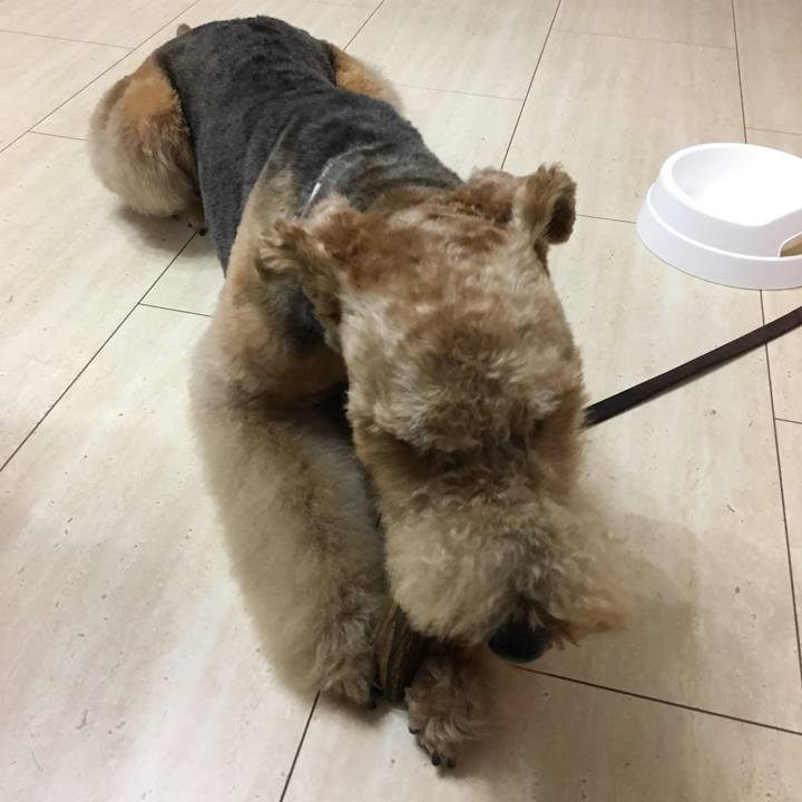 Bfed1e2a 4619 4d5d 9420 97798ed88be5