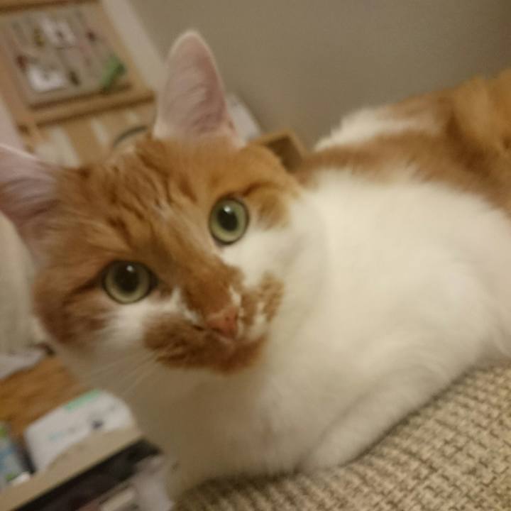 Bfed3c17 1ef4 4507 a63f 78864d394471